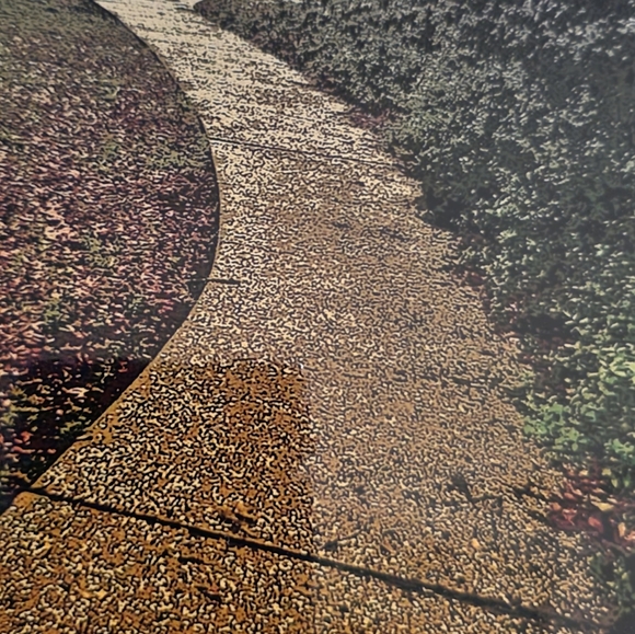 Golden Pathway - Picture 4 of 5